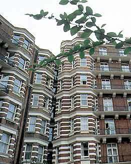 Hôtel Wigram House à Londres Extérieur photo